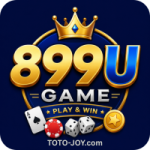 899U Game